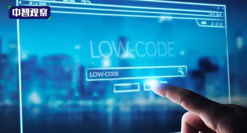 深解低代碼無代碼市場開發